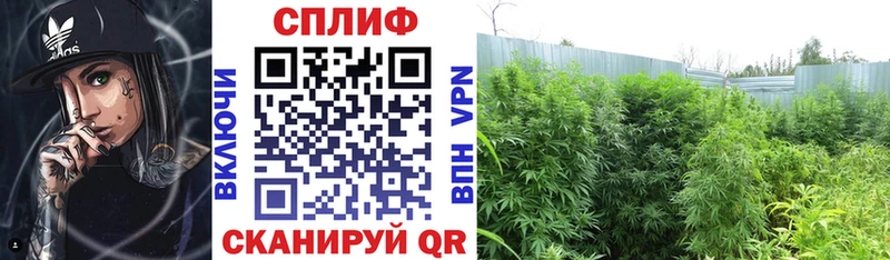 Виды наркотиков купить Похвистнево Альфа ПВП Галлюциногенные грибы Каннабис Кокаин Мефедрон