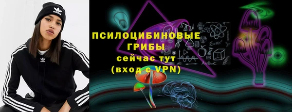 соль ск Алексеевка