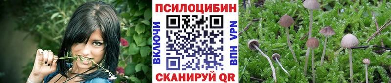 Псилоцибиновые грибы мицелий  Похвистнево 